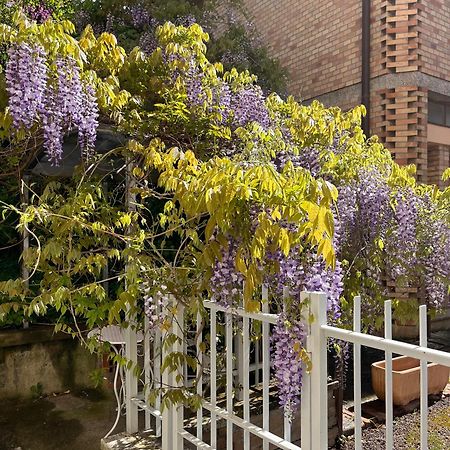 Il Glicine - Monolocale A Due Passi Dal Centro Villa Urbino Ngoại thất bức ảnh