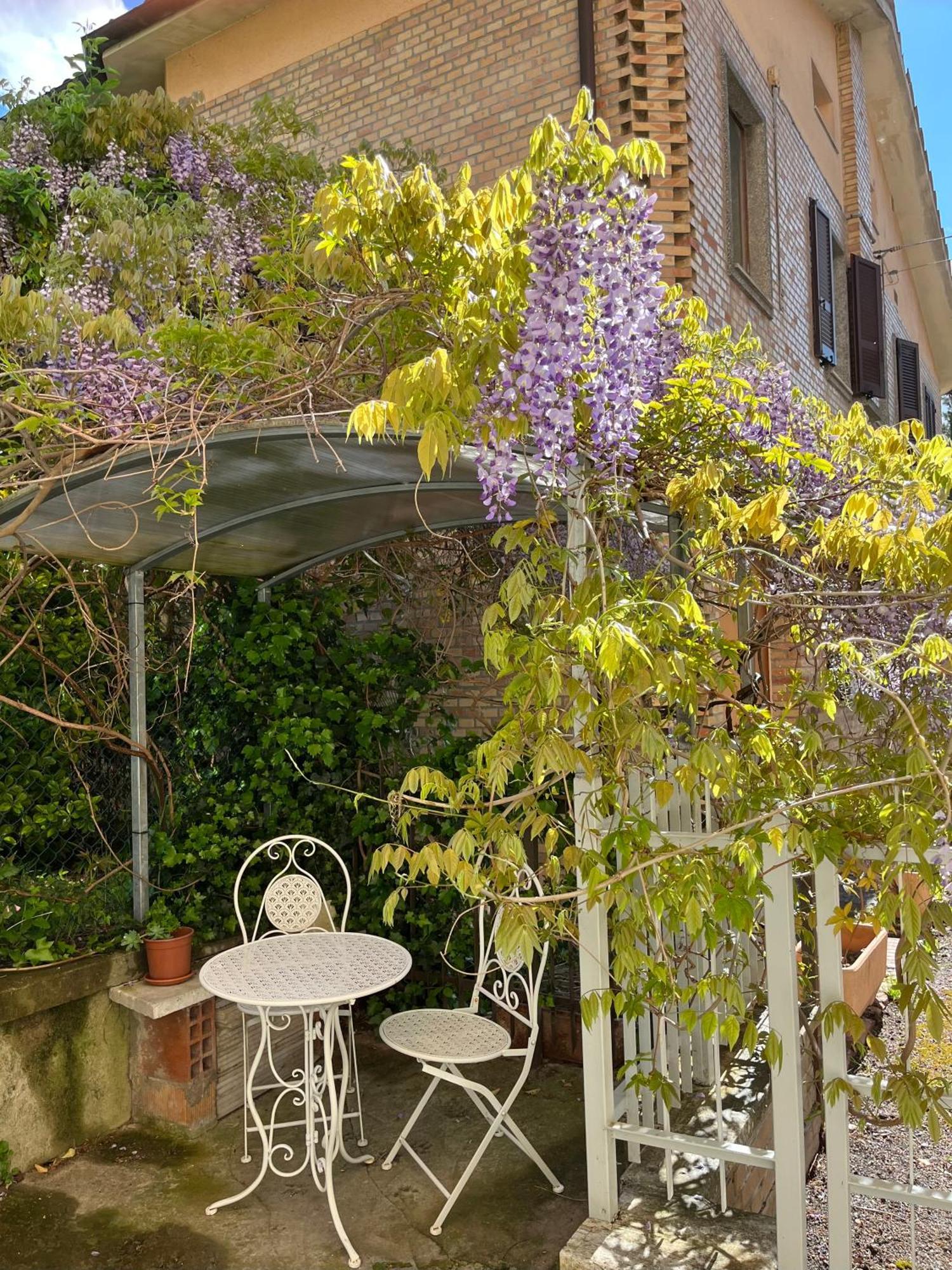 Il Glicine - Monolocale A Due Passi Dal Centro Villa Urbino Ngoại thất bức ảnh